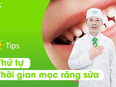 Thứ tự, thời gian và số lượng RĂNG SỮA mọc